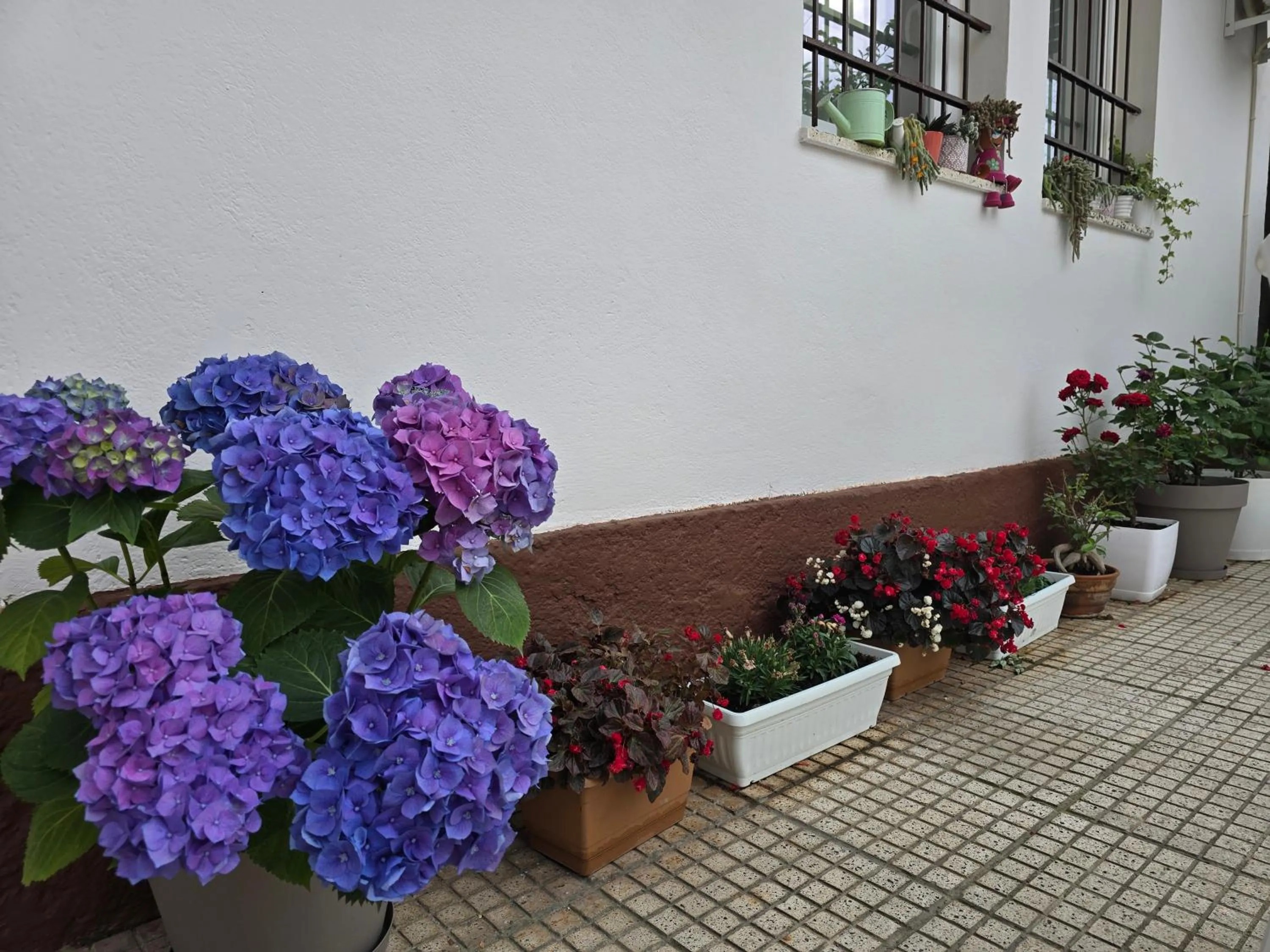 Garden in Hotel Aleks