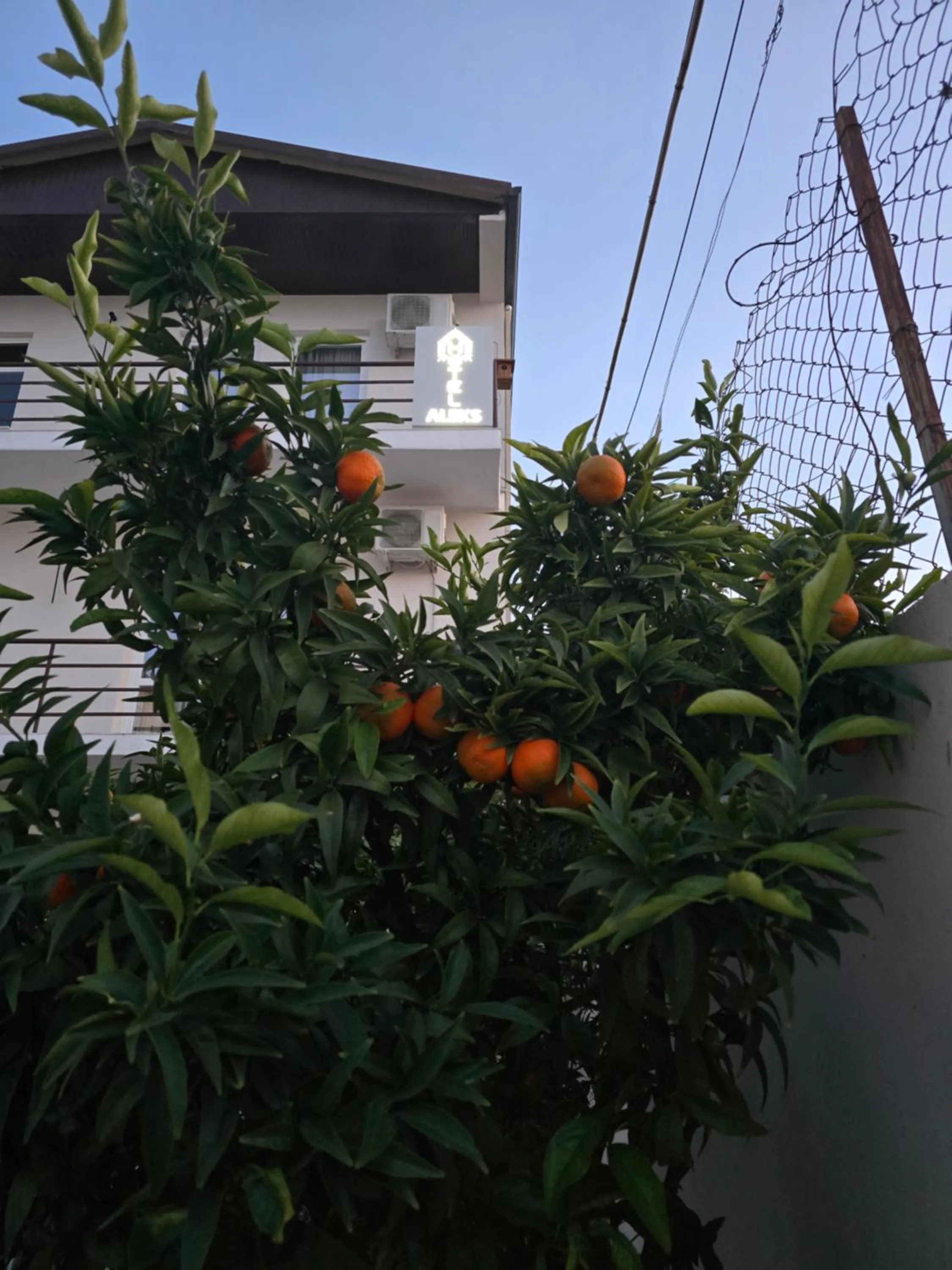 Garden view in Hotel Aleks