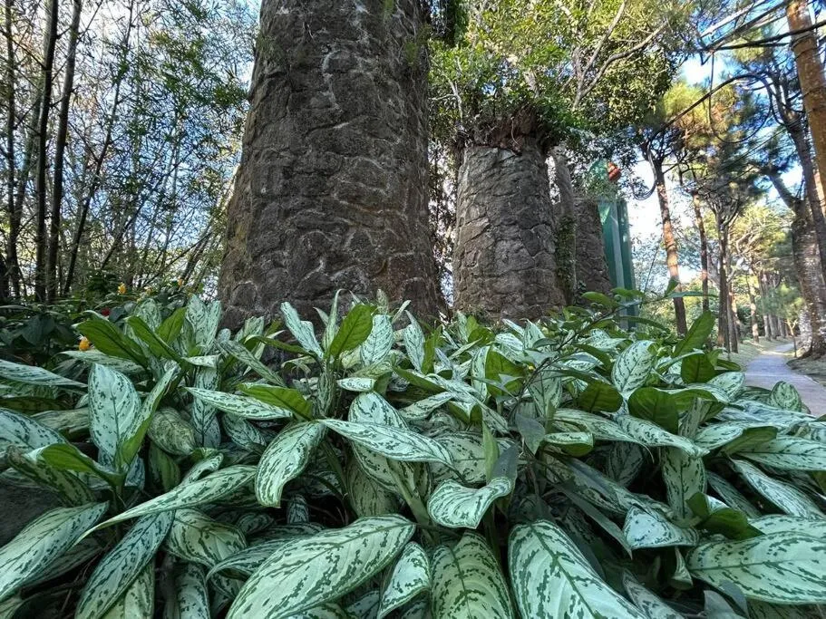 Day in Crosswinds Resort Quadrille Home