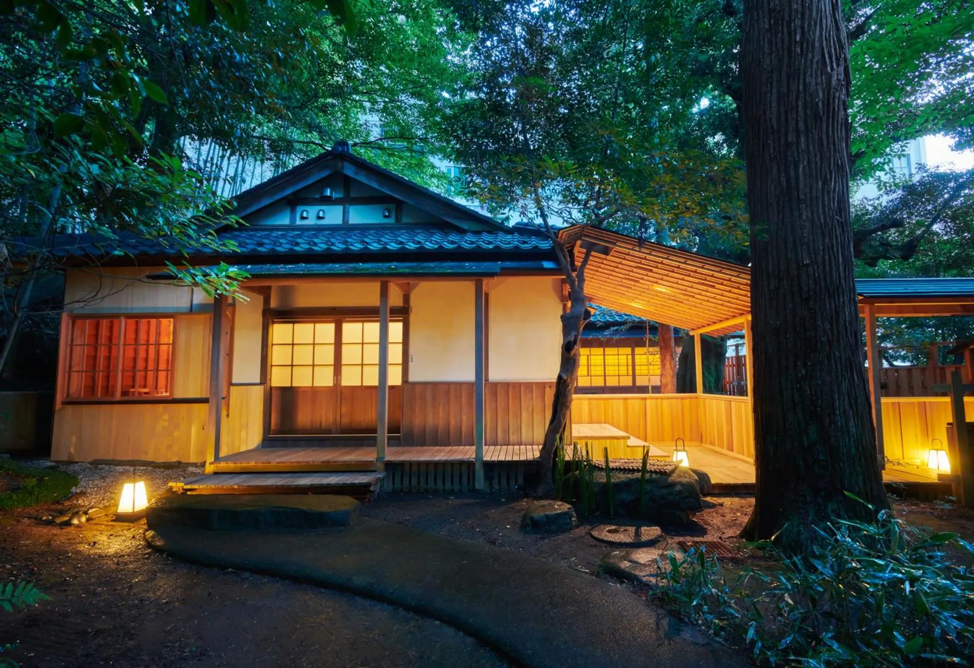 Photo of the whole room in Araya Totoan