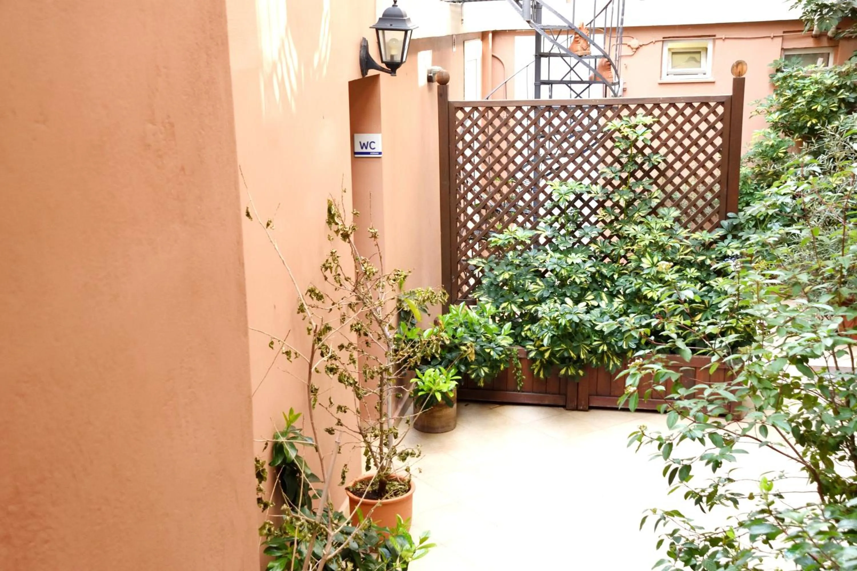 Garden in Adrian Hotel