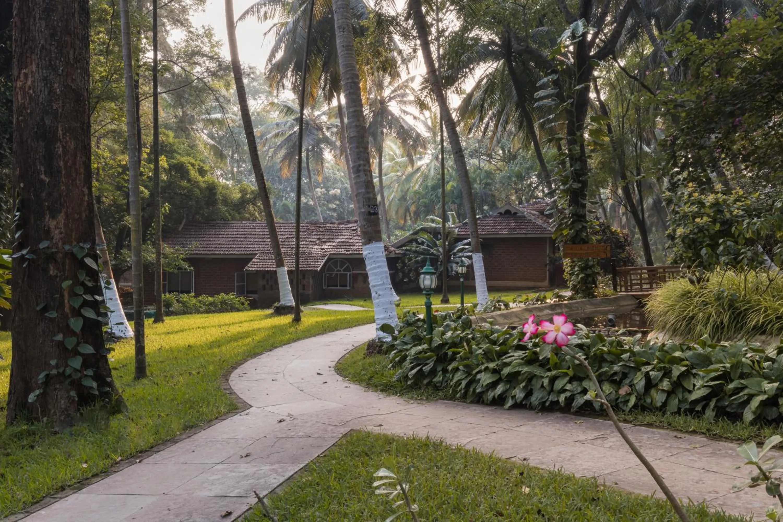 Garden in Kairali - The Ayurvedic Healing Village