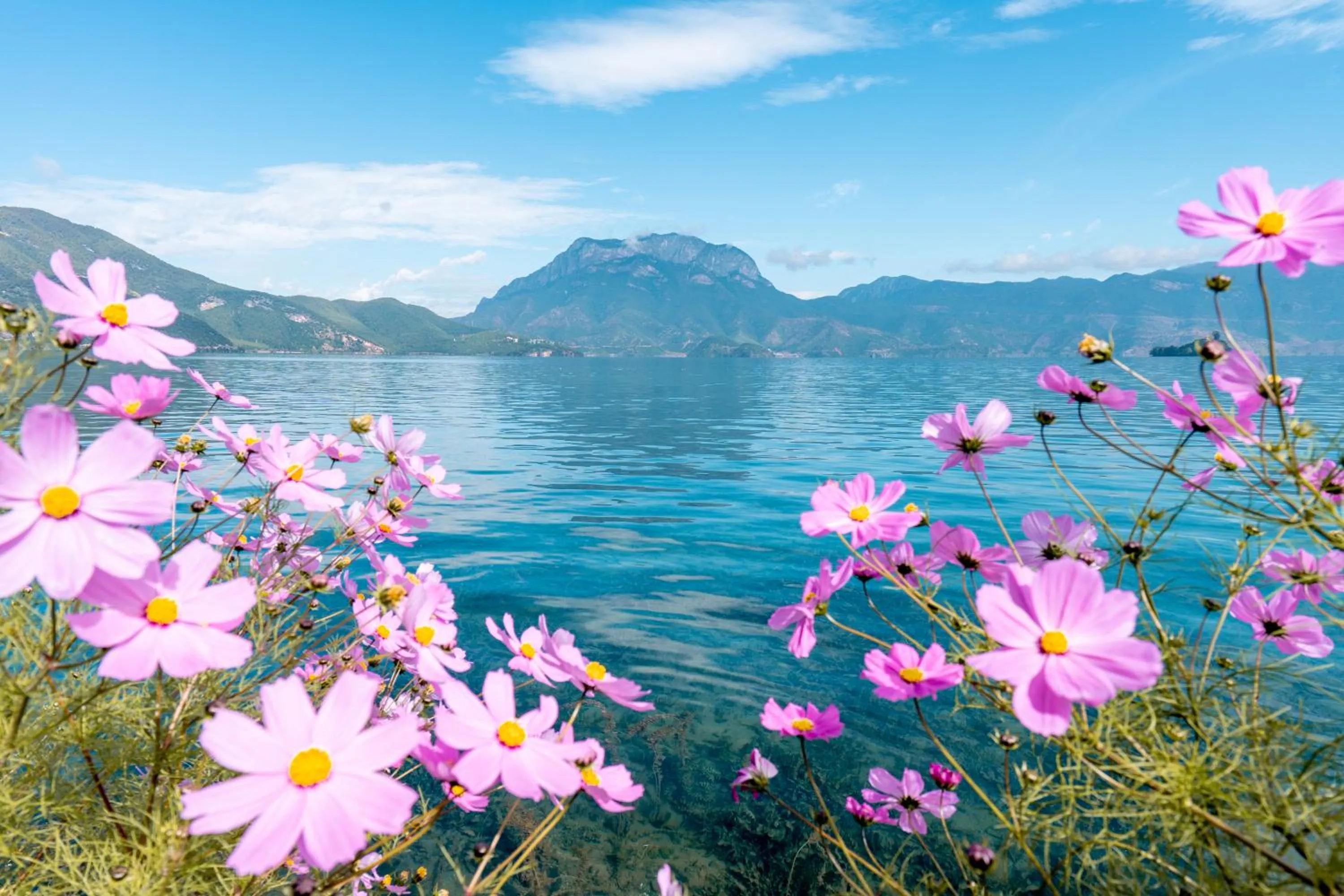 Nearby landmark in Hotel Indigo Lugu Lake by IHG