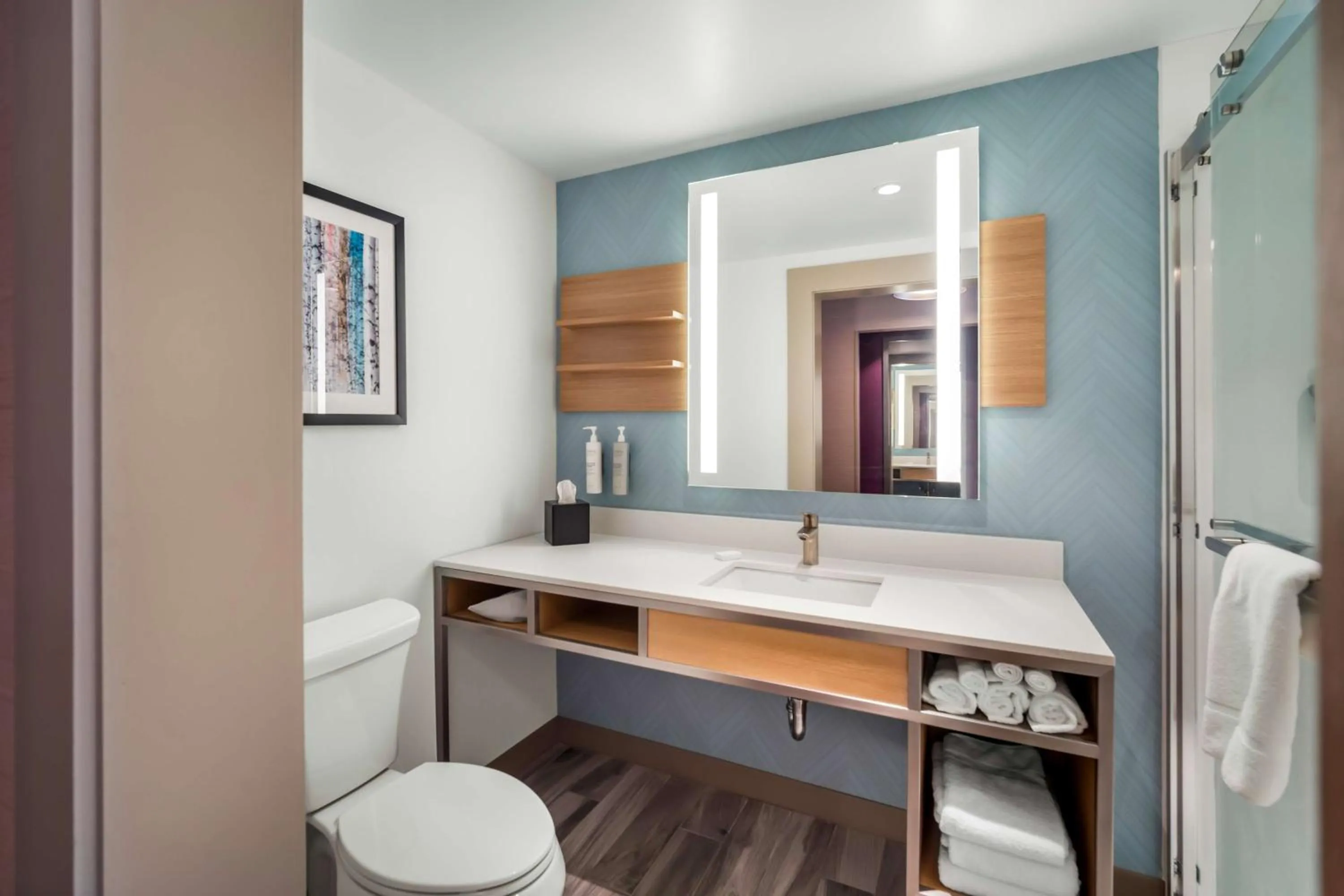 Bathroom in Hilton Garden Inn North Conway