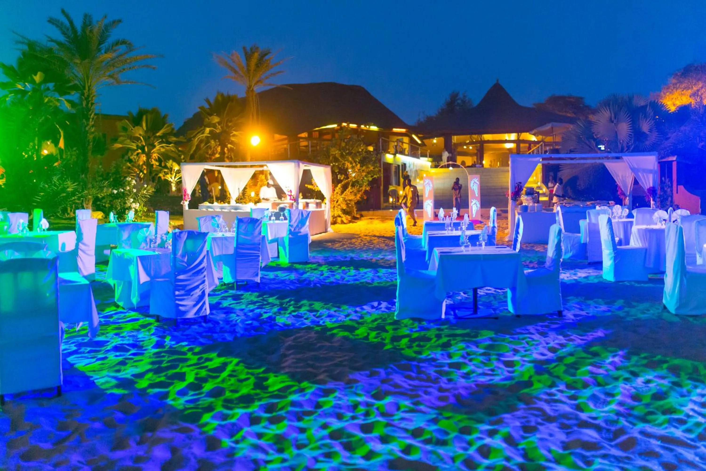 Night in Royal Horizon Baobab