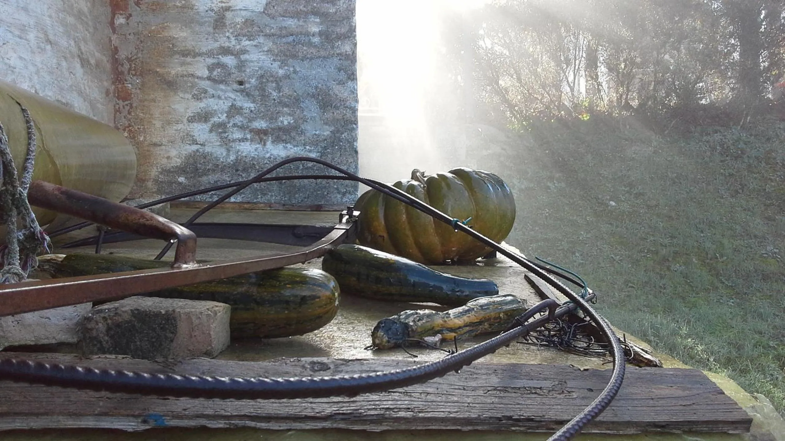 Villa Maria Bed & Breakfast, Corridonia, Marche