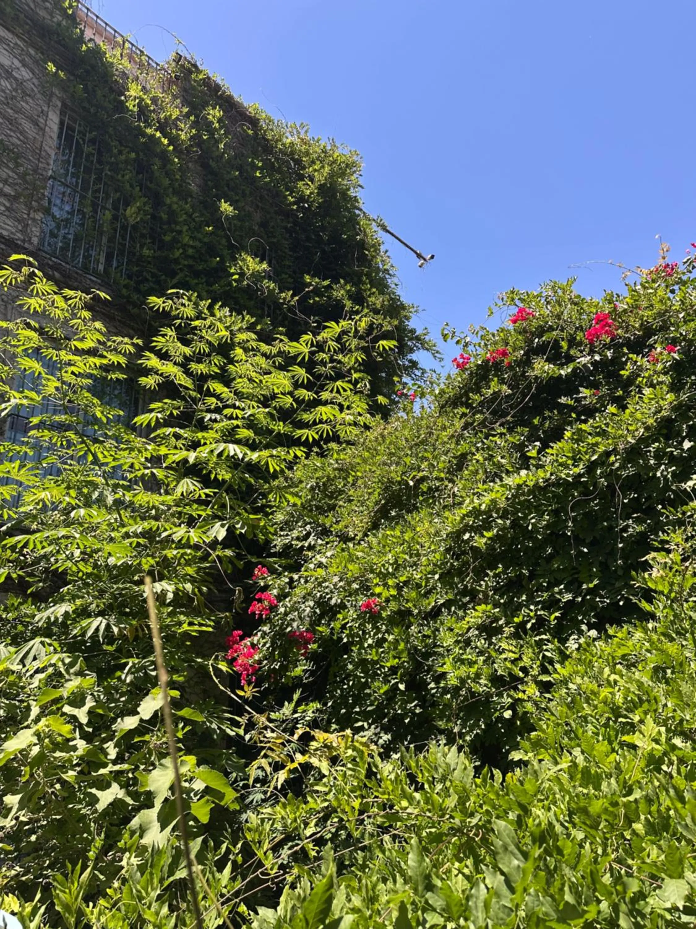 Posada de San Isidro