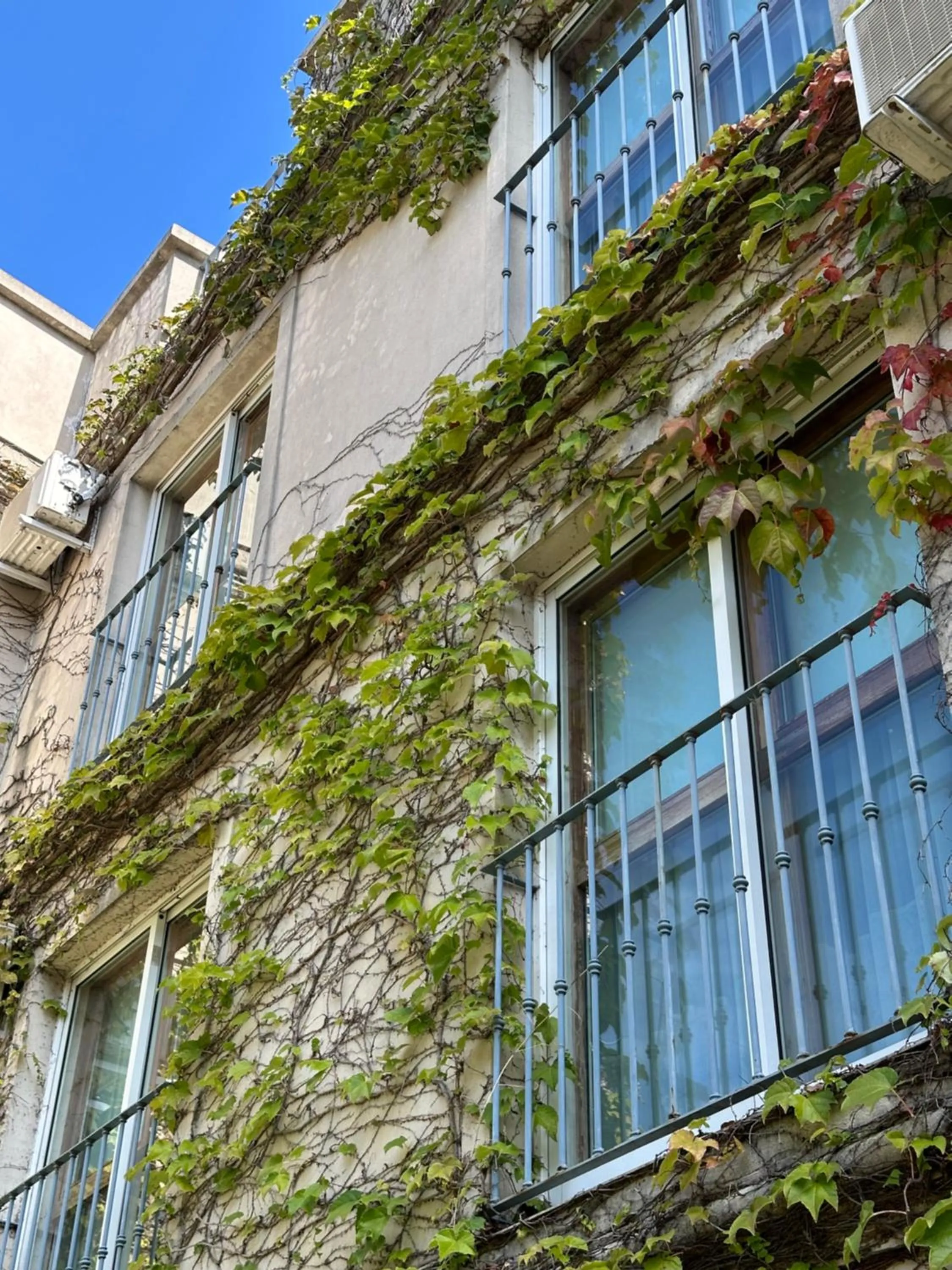 Posada de San Isidro