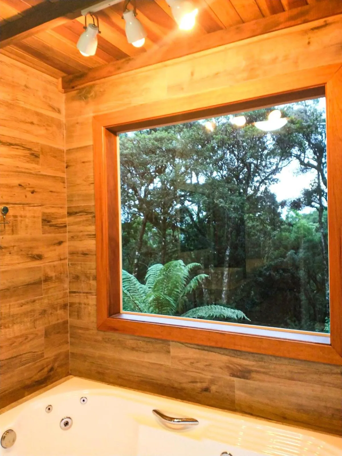 Garden view in Nas Nuvens Hospedaria