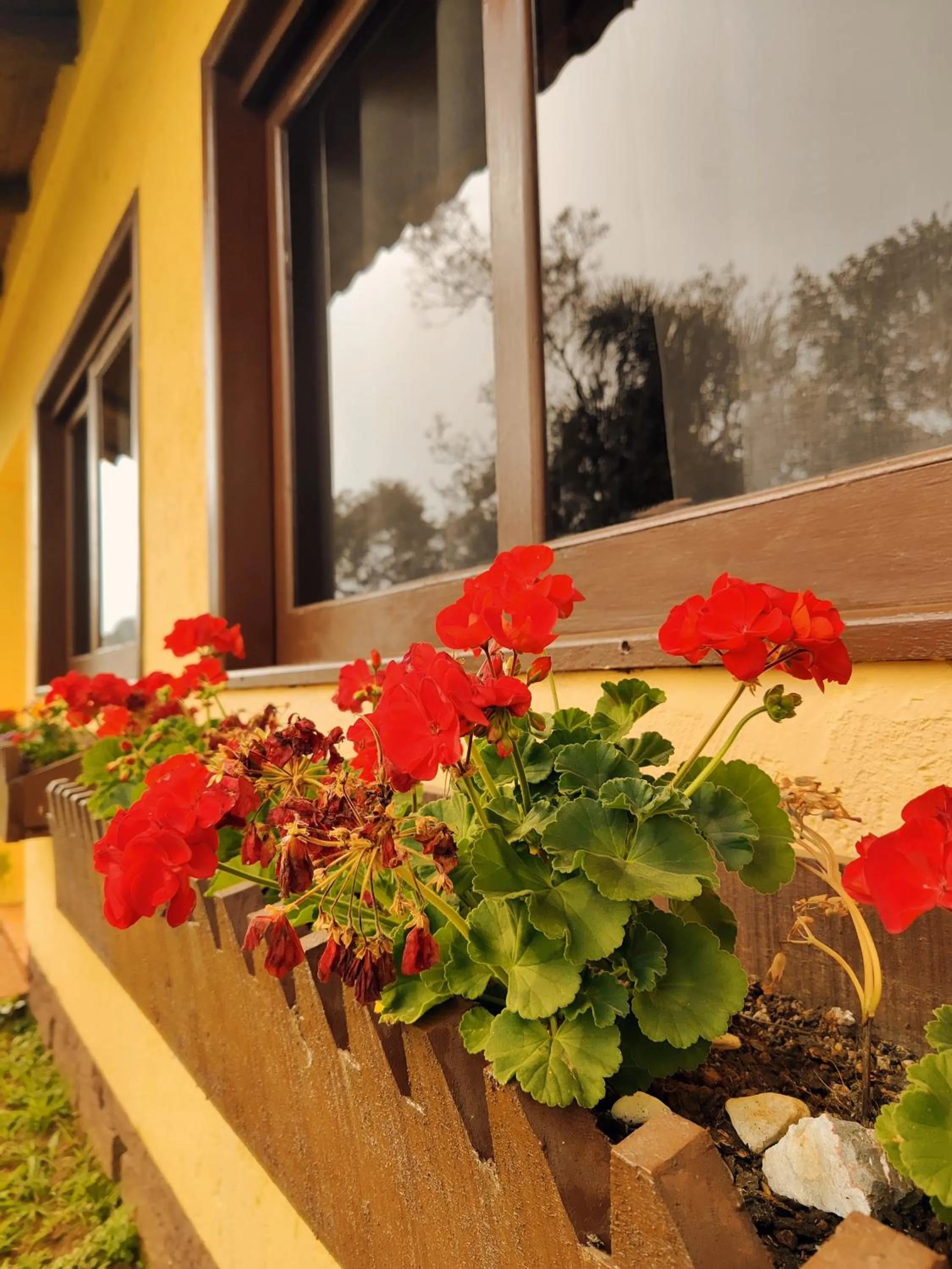 View (from property/room) in Chalés Pousada Malacara