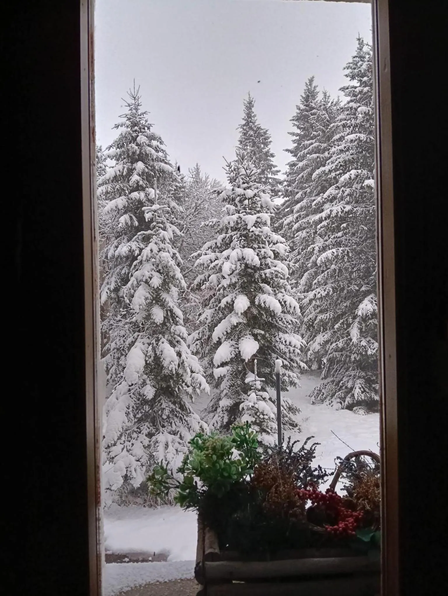 Patio in SNÖ Hotel Candanchú