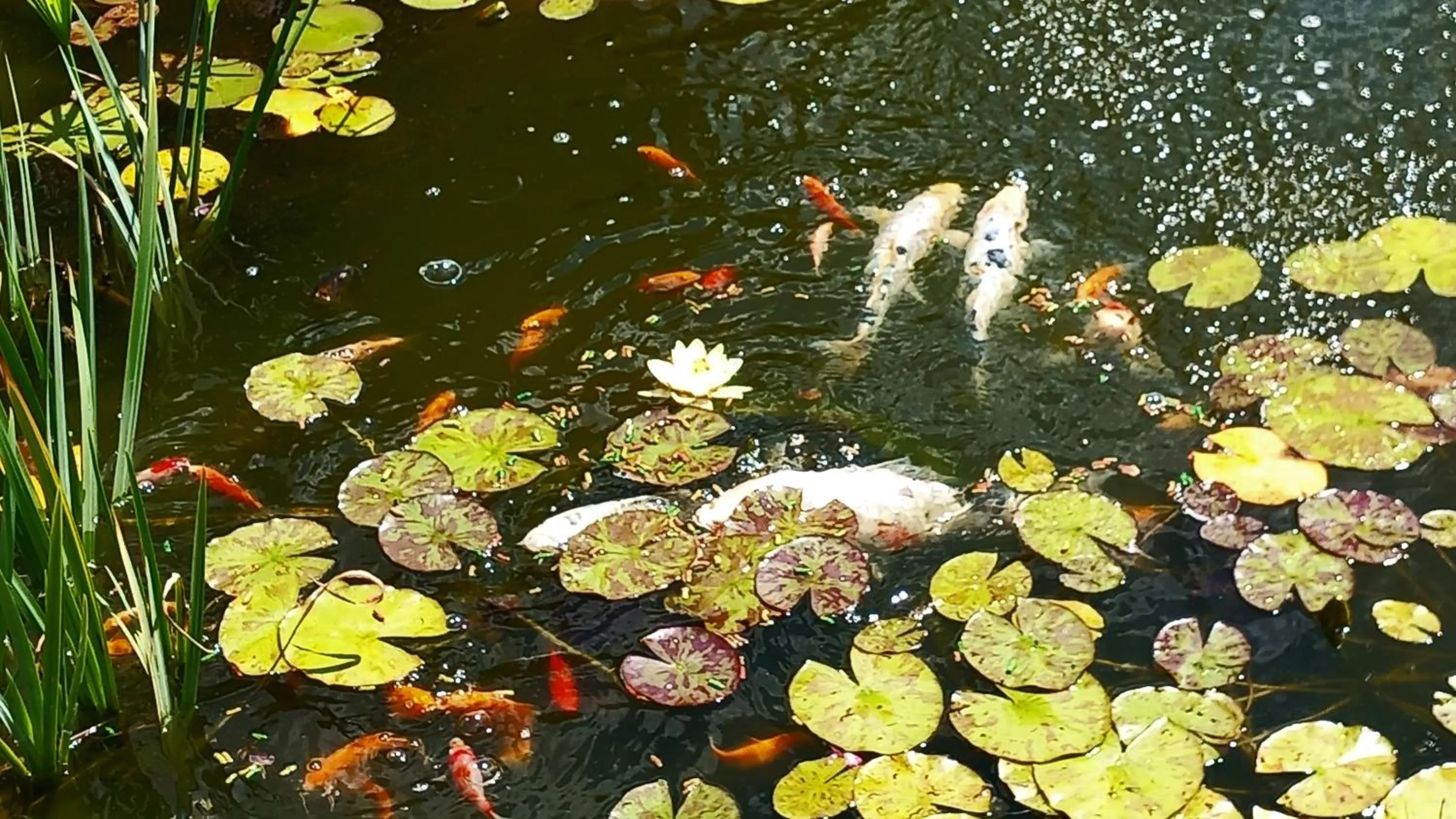 Natural landscape in Chez Marie