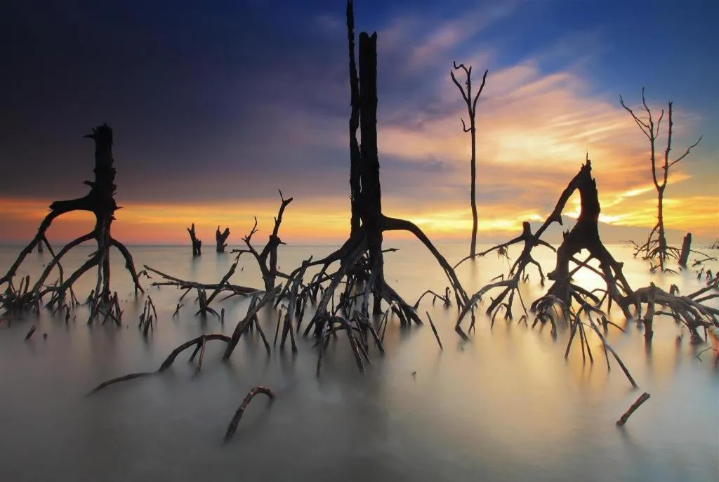 The Breeze Lipe Resort