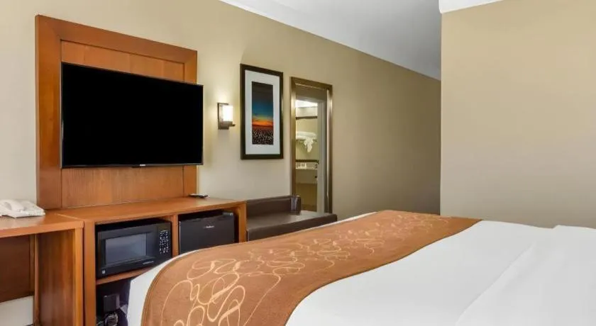 Bed in Comfort Suites Plainview