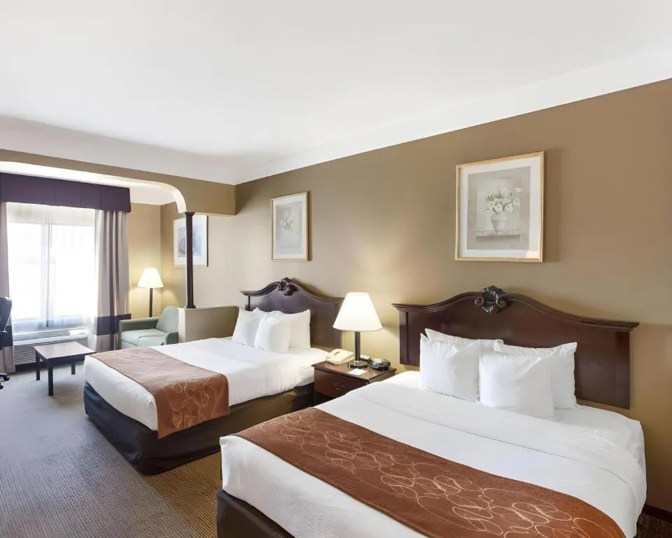 Bed in Comfort Suites Plainview