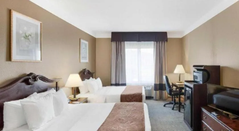 Bed in Comfort Suites Plainview