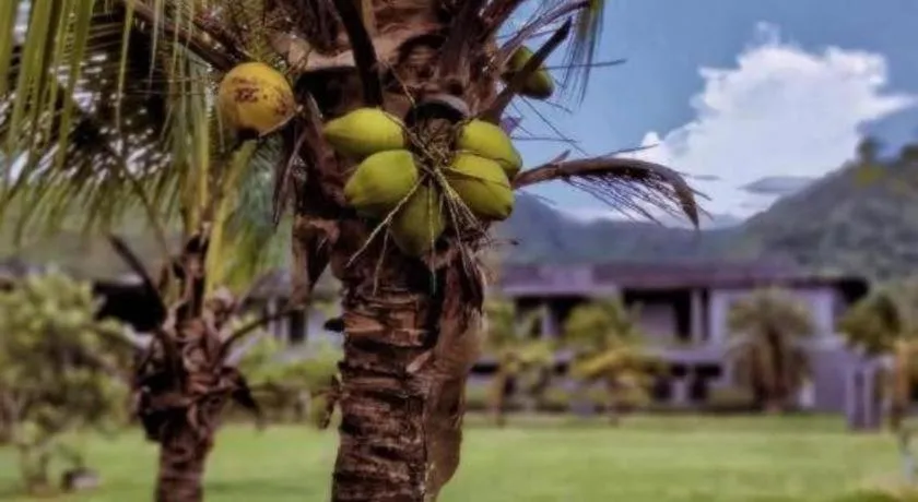 Avartarn Miracles Hotel