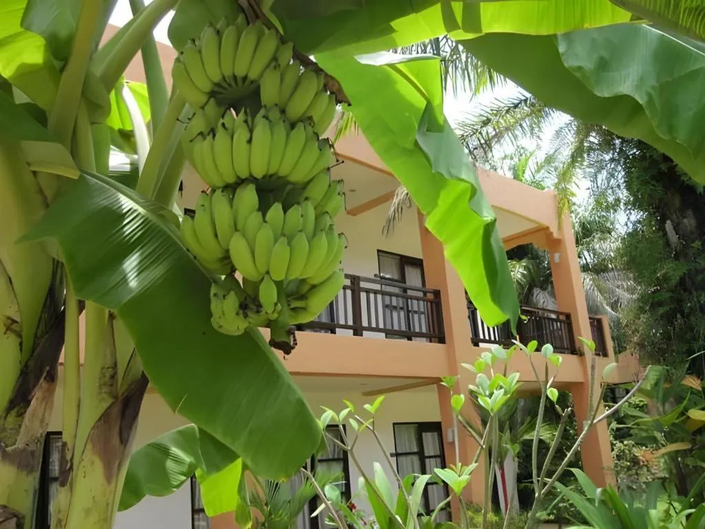 Khaolak Palm Hill Resort