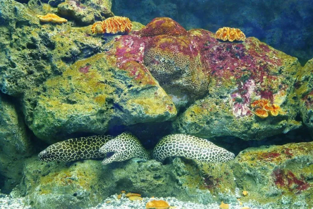 Nana Chat Bangsaen Hotel