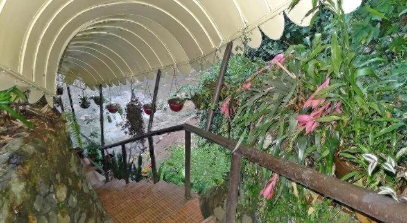 Mountain Lodge Hotel and Restaurant