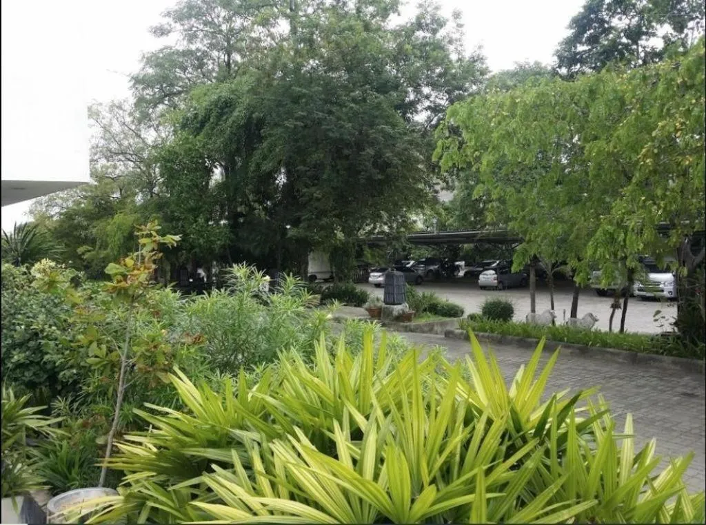 The Park Hotel Pattaya