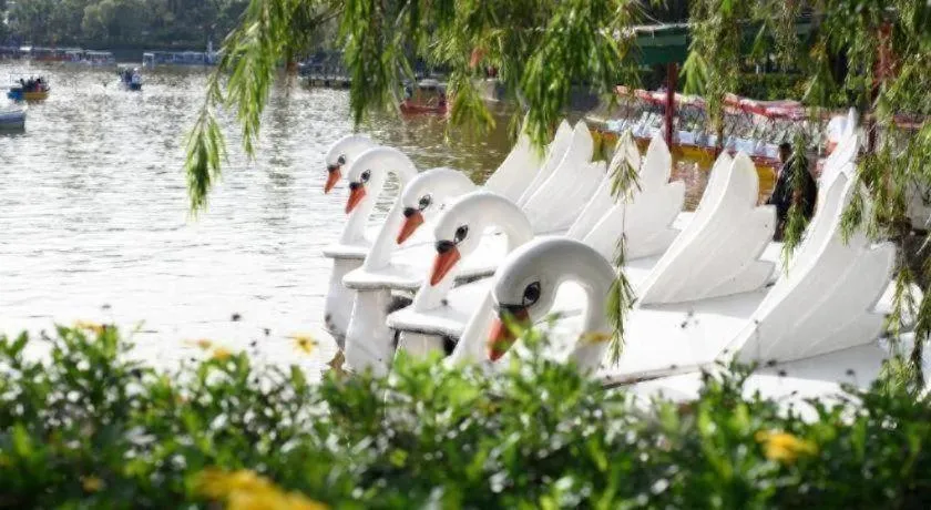 Tuscany Basic Urban Stay