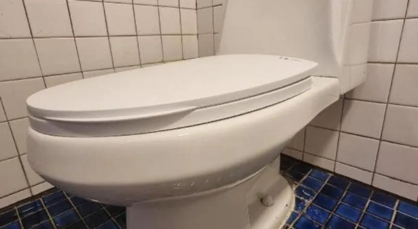 Goodstay Saewha Hostel