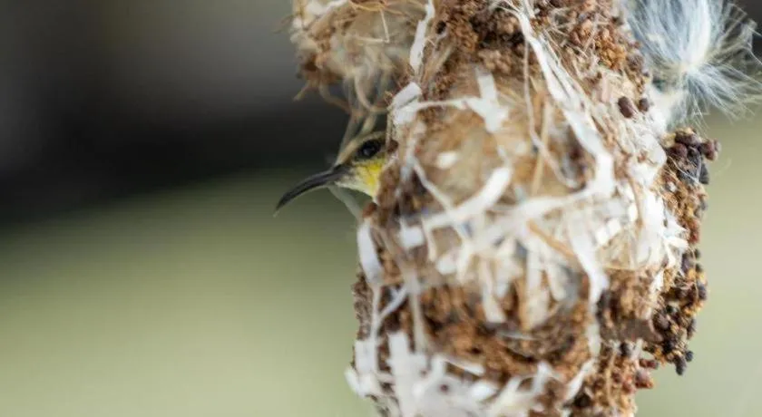 Chayada Garden House and Resort Hotel