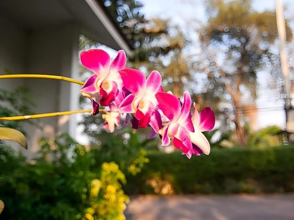 Chayada Garden House and Resort Hotel