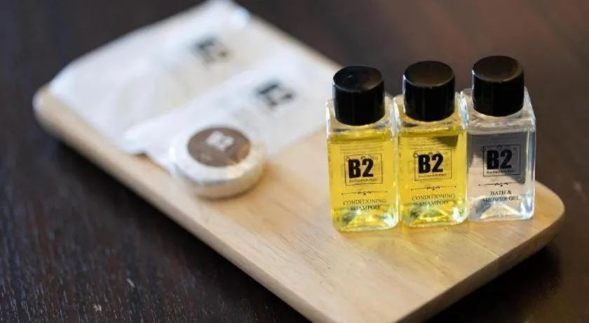 B2 Airport Boutique & Budget Hotel