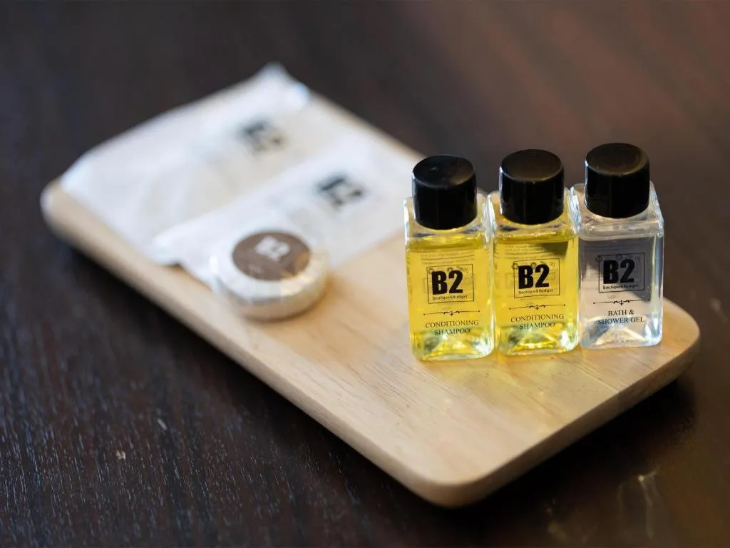 B2 Airport Boutique & Budget Hotel