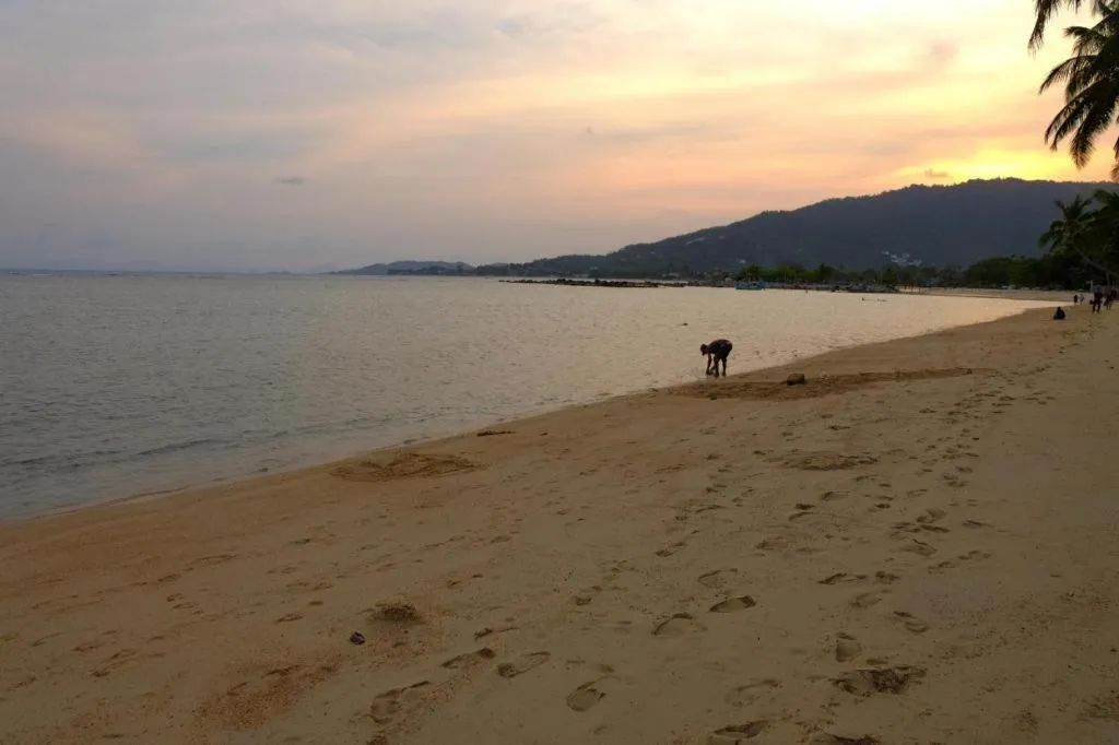 Rose Garden Samui Bungalows