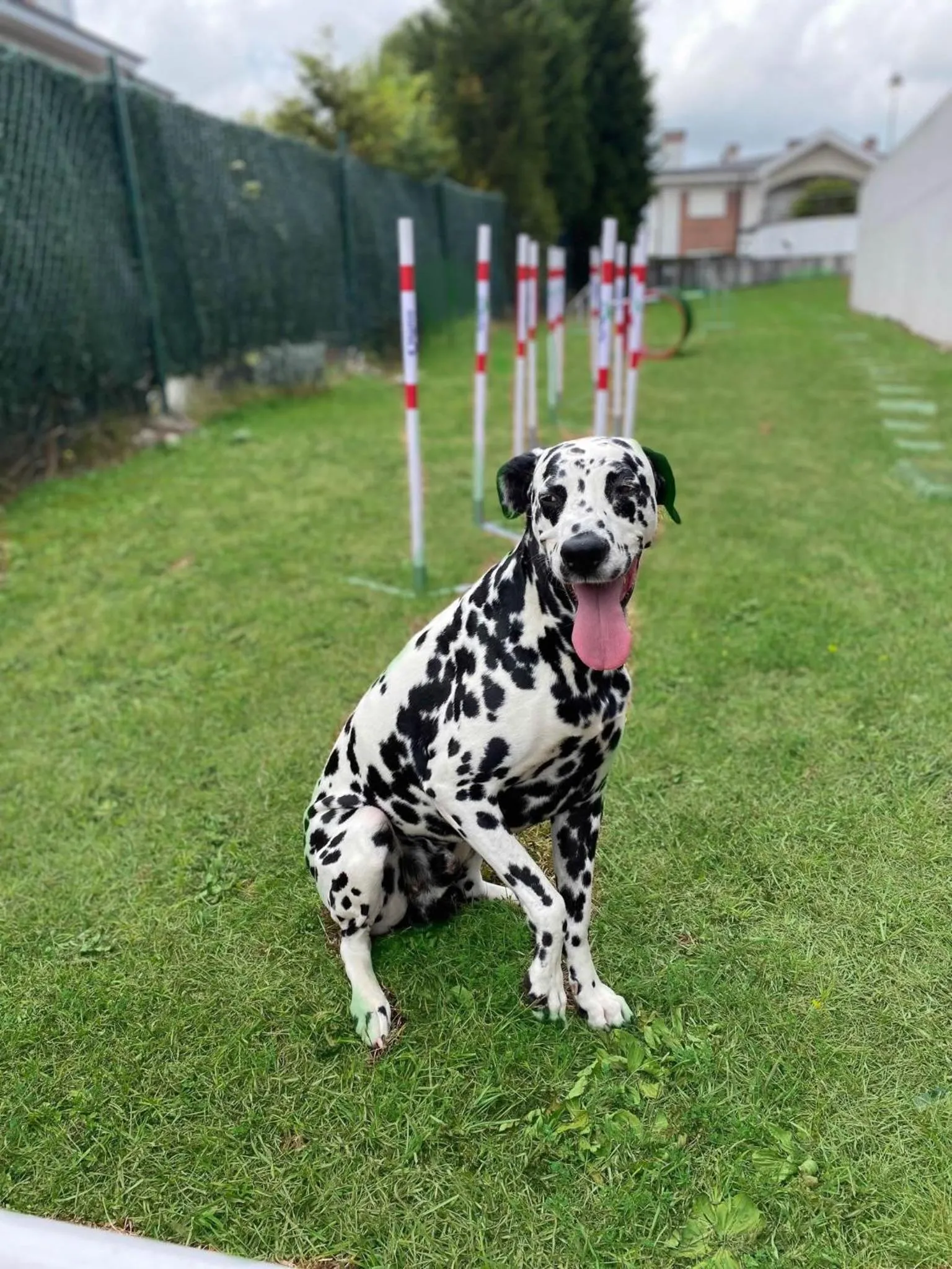 Animals in URH Hotel Spa Zen Balagares