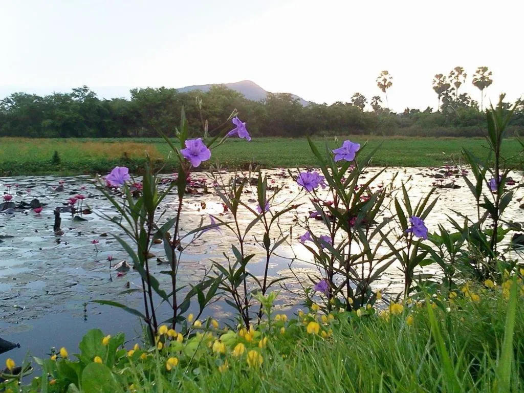 BanRai ChernMa Resort