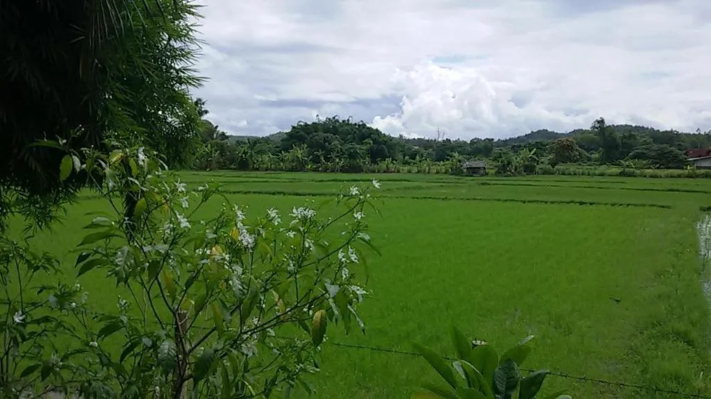 Indie House @ Maerim