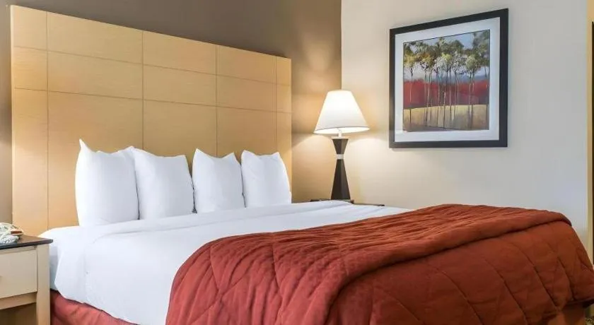 Bed in Quality Inn Geneseo