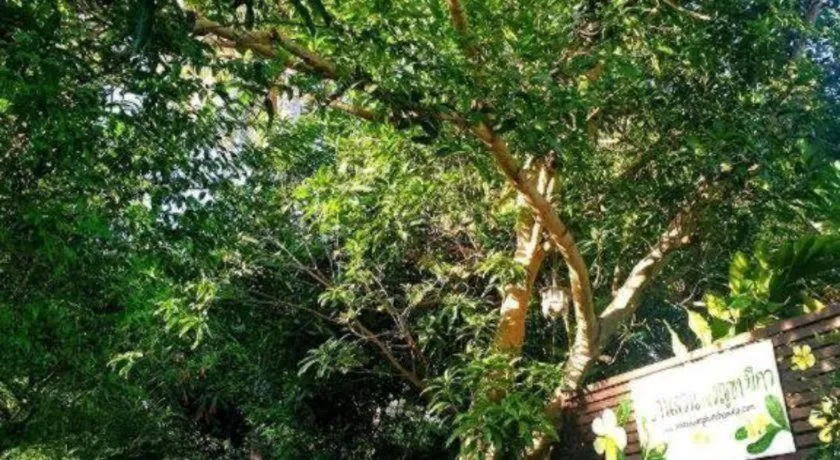 Baan Suan Phidchamika