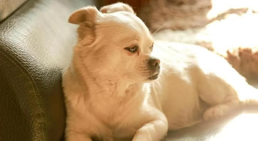 The North International Youth Hostel