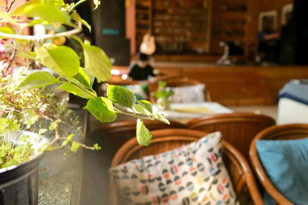 The North International Youth Hostel