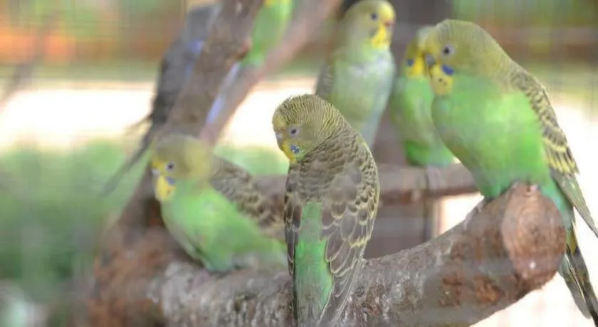 Eadry Royal Garden Hotel Haikou