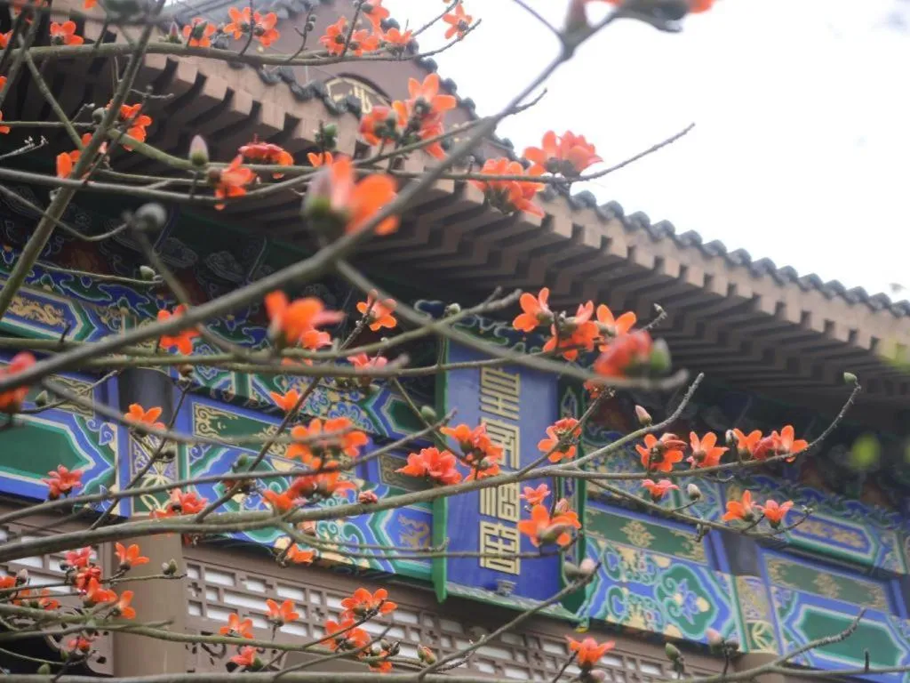 Eadry Royal Garden Hotel Haikou