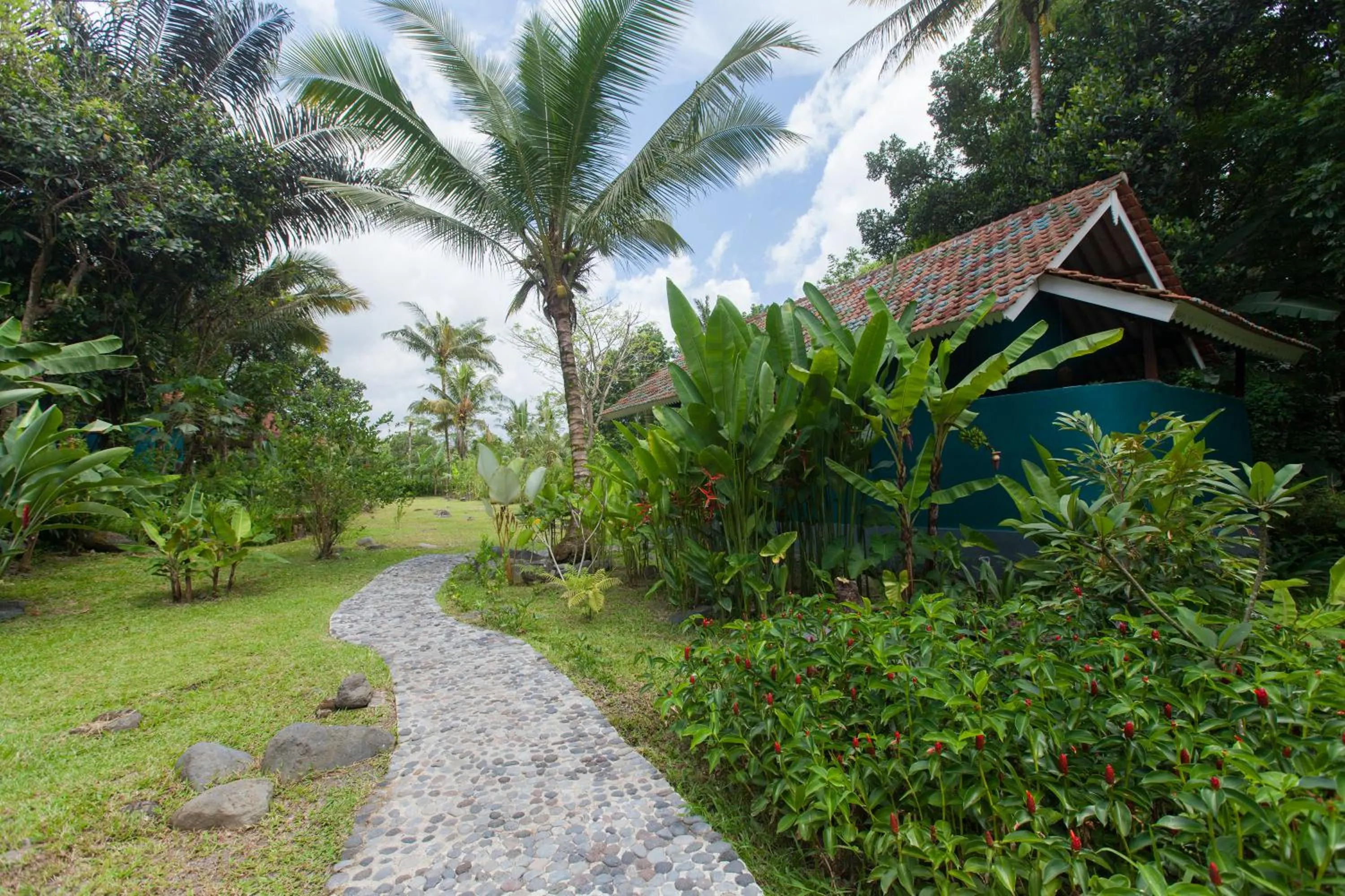 View (from property/room) in Darmada Eco Resort