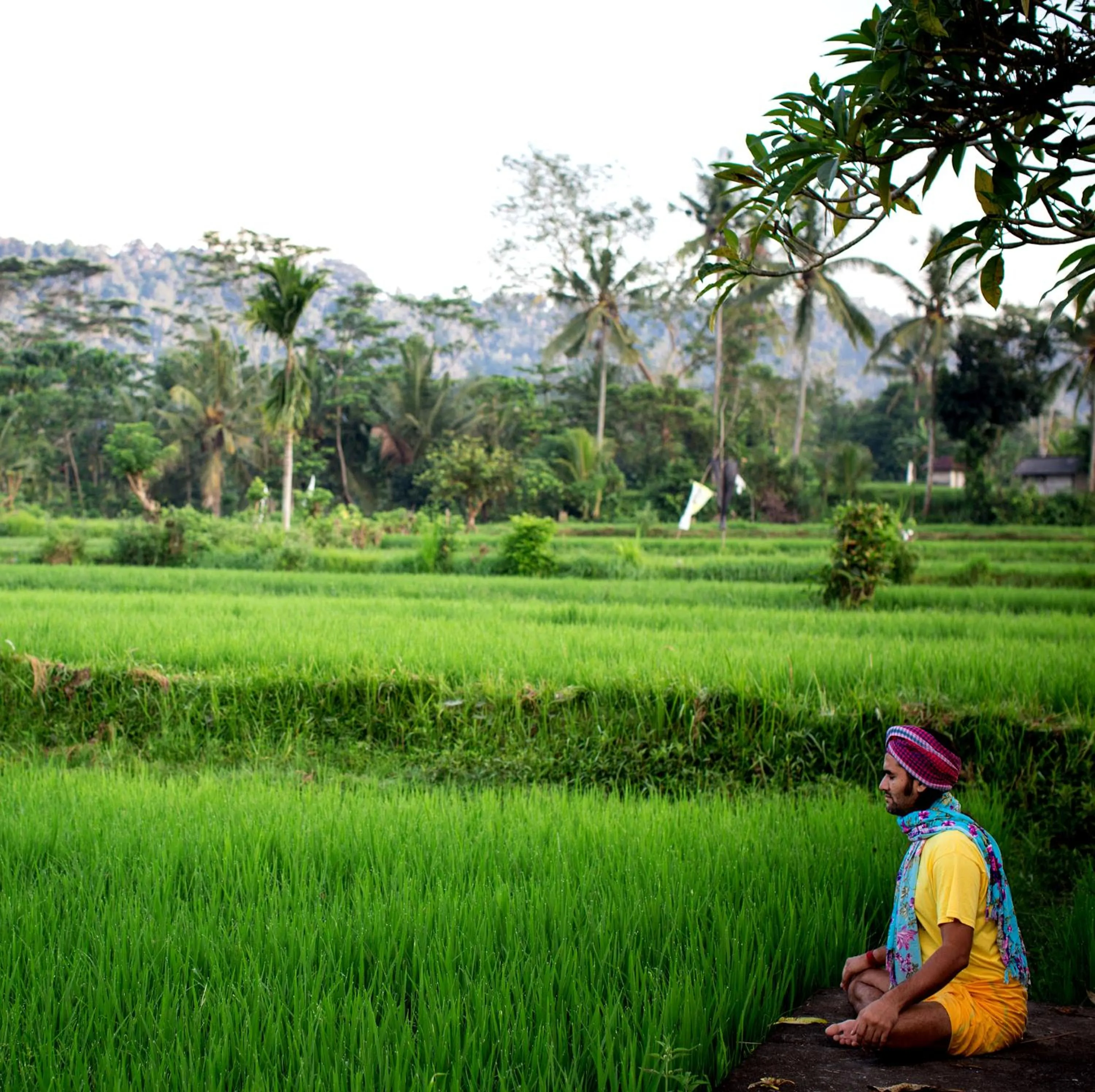 Natural landscape in Darmada Eco Resort