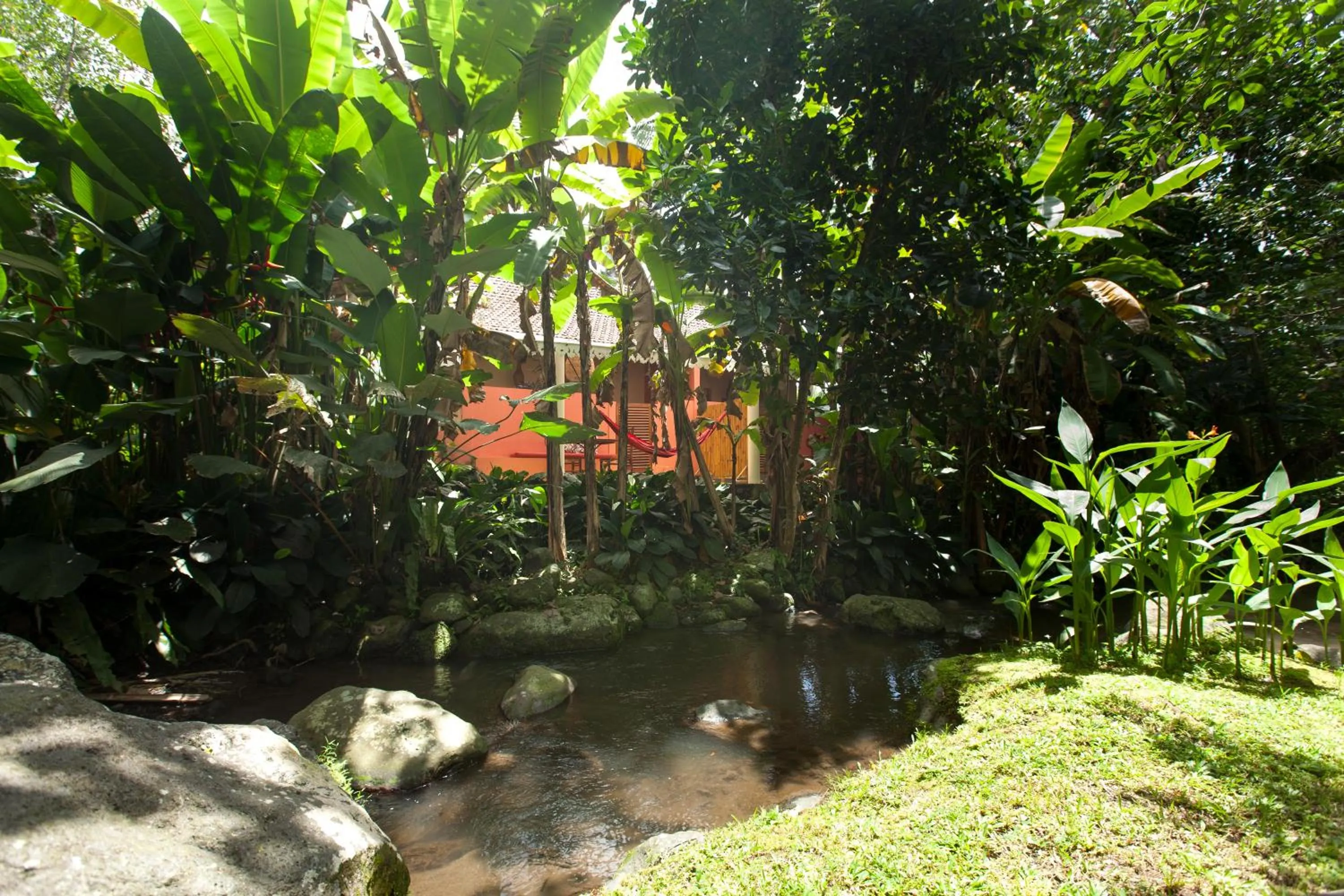 River view in Darmada Eco Resort