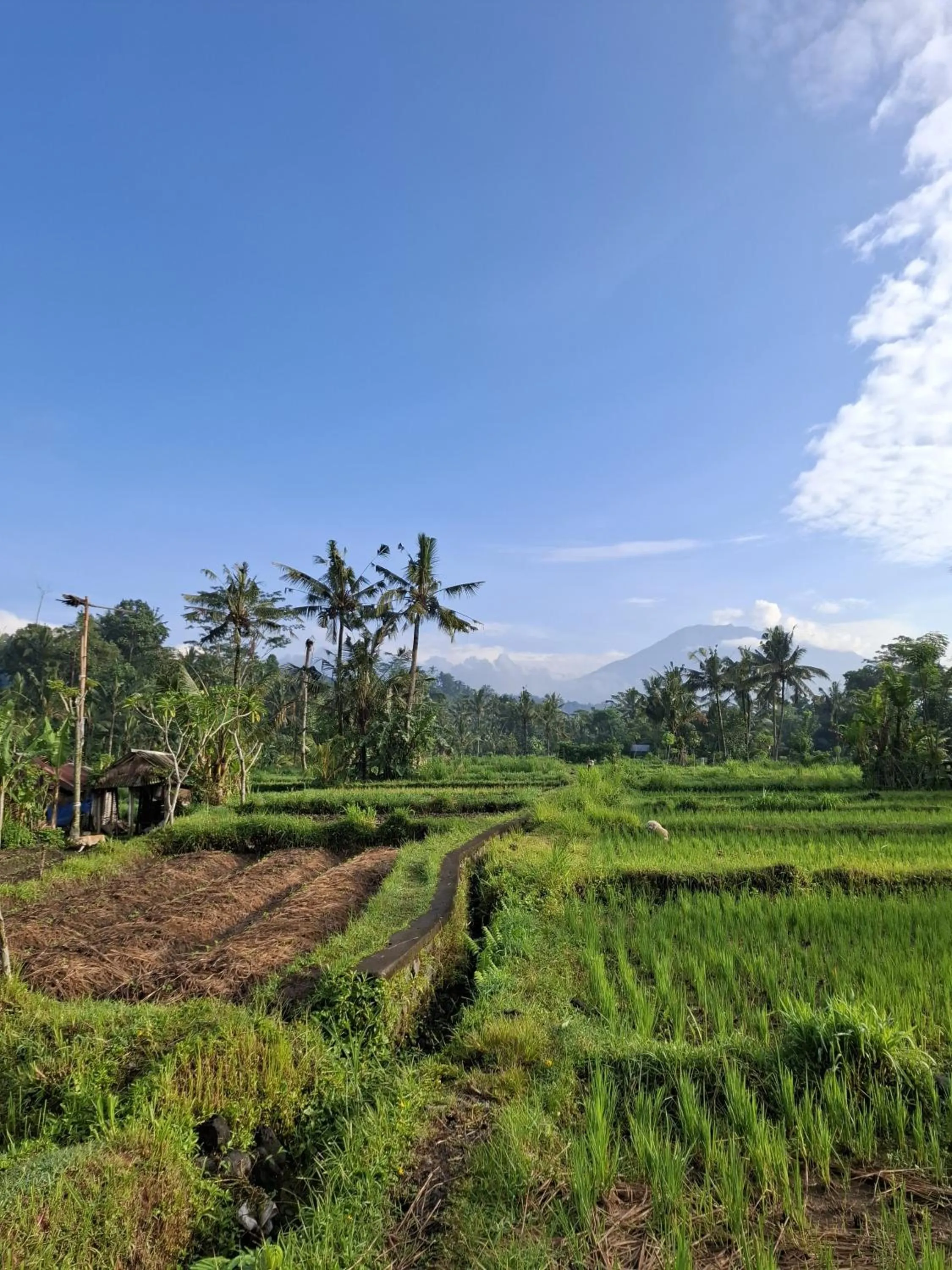 Natural landscape in Darmada Eco Resort