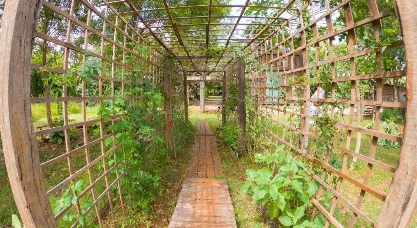 The Frog Khao Yai Resort