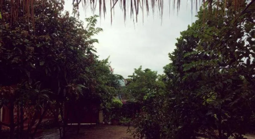 Draco - Thang Long Hotel