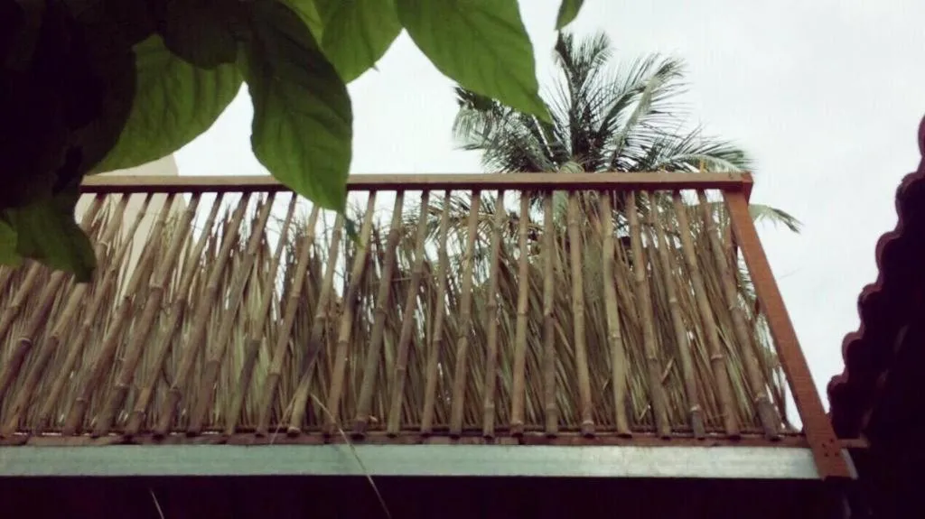 Draco - Thang Long Hotel