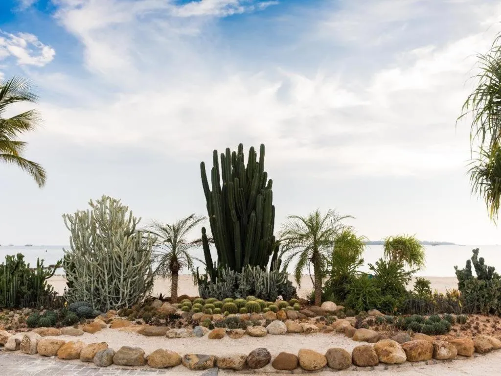 D'Season Premiere Hotel