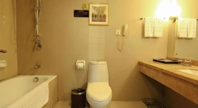 Chongqing Tianyou Hotel